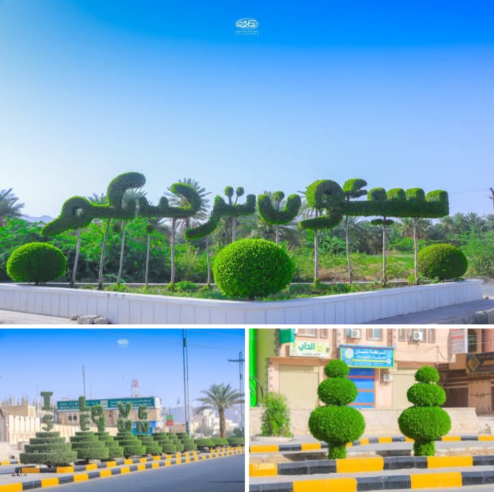 النظافة و الثقافة البصرية النظافة و الثقافة البصرية