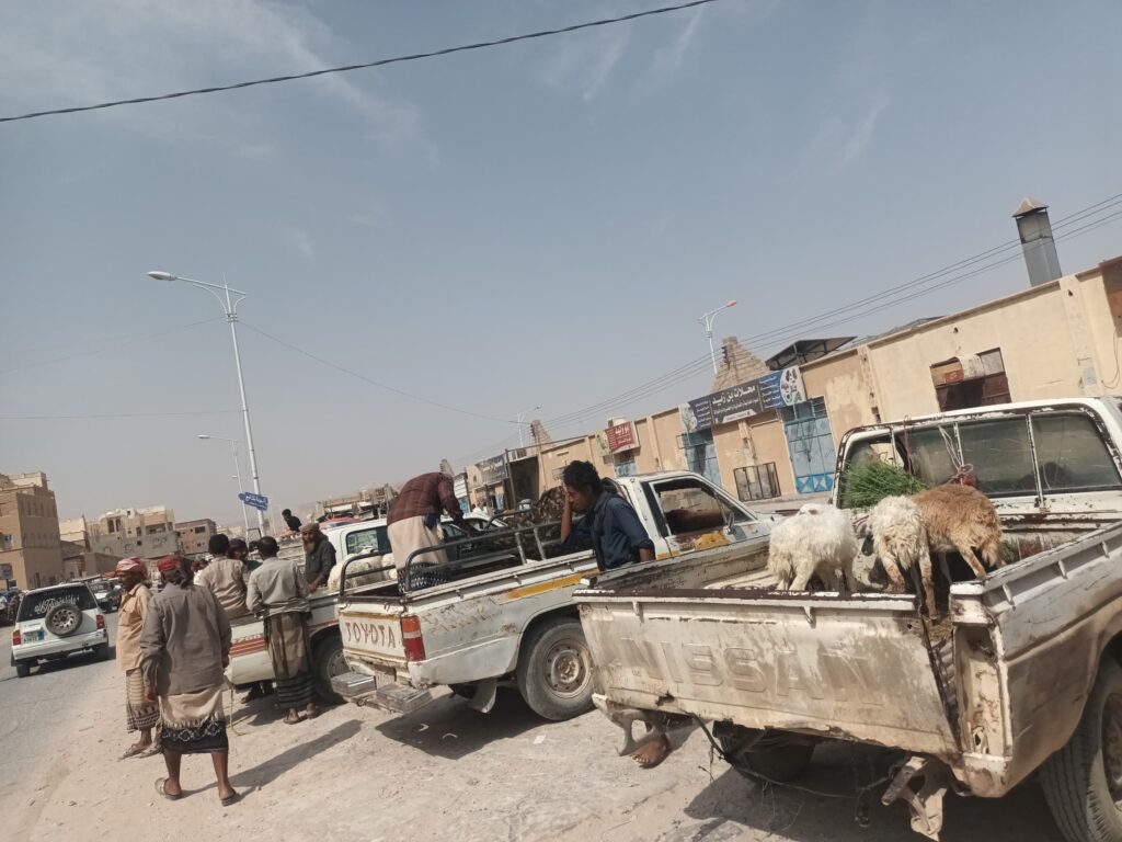 سوق الاغنام والشارع العام مديرية حورة ووادي العين... سوق الاغنام والشارع العام مديرية حورة ووادي العين...