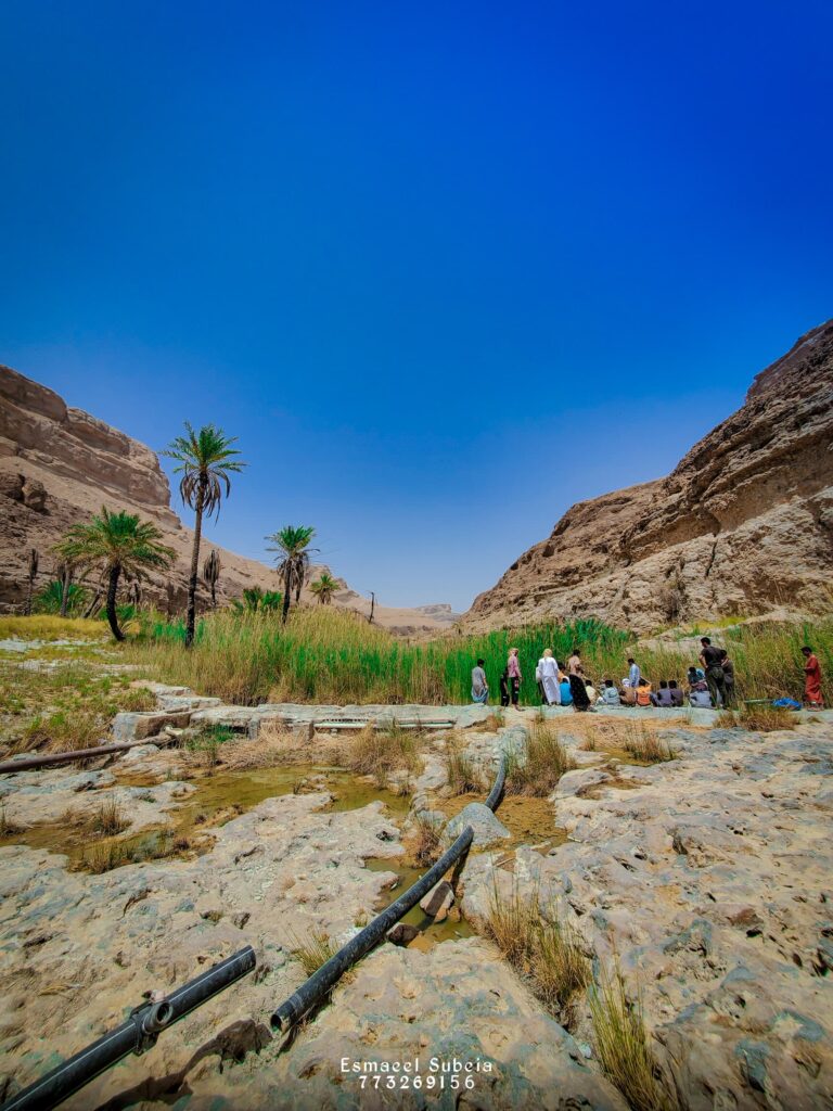 أهالي غنيمة بوادي تاربة م/ سيئون يحتفلون بفعالية مطلع الحطب السنوي ومسابقة الرماية للسنة الخامسة والعشرين وتكريم الفائزين. أهالي غنيمة بوادي تاربة م/ سيئون يحتفلون بفعالية مطلع الحطب السنوي ومسابقة الرماية للسنة الخامسة والعشرين وتكريم الفائزين.