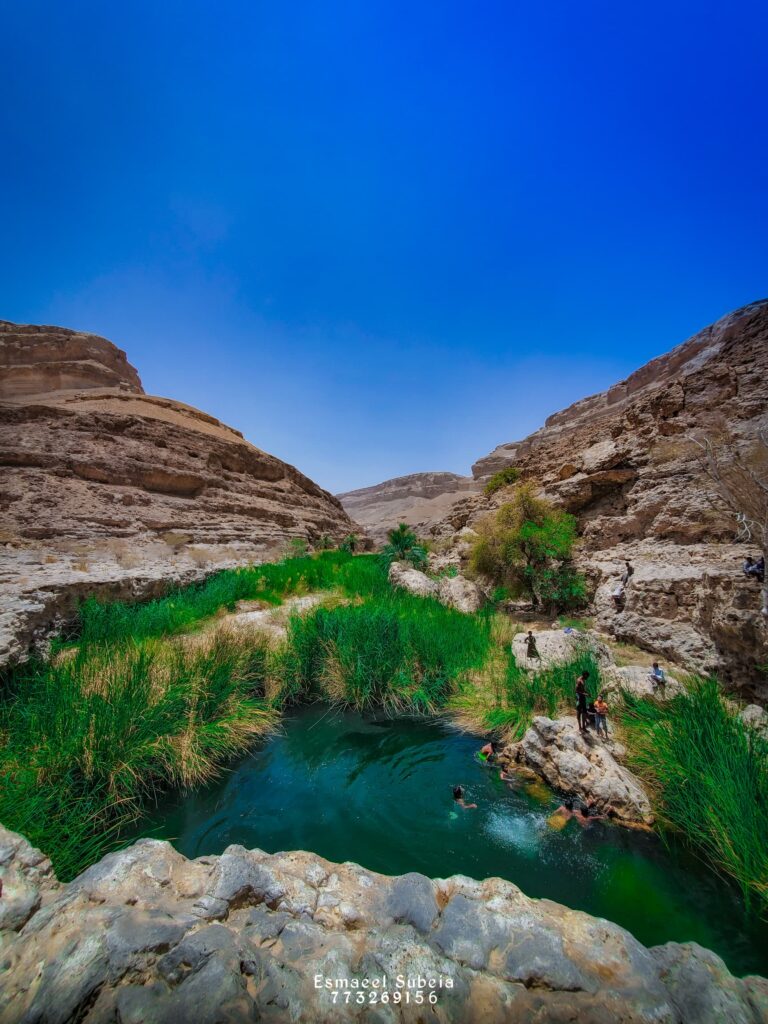 أهالي غنيمة بوادي تاربة م/ سيئون يحتفلون بفعالية مطلع الحطب السنوي ومسابقة الرماية للسنة الخامسة والعشرين وتكريم الفائزين. أهالي غنيمة بوادي تاربة م/ سيئون يحتفلون بفعالية مطلع الحطب السنوي ومسابقة الرماية للسنة الخامسة والعشرين وتكريم الفائزين.