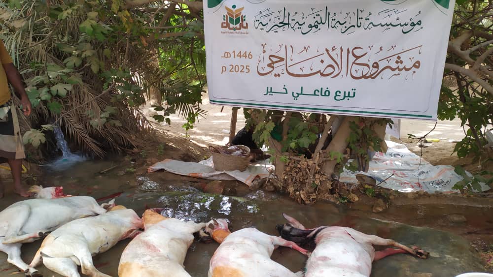 باستفادة اكثر من 702 اسرة: مؤسسة تاربة التنموية الخيرية توزع لحوم الأضاحي لعام 1446هـ/2025 م باستفادة اكثر من 702 اسرة: مؤسسة تاربة التنموية الخيرية توزع لحوم الأضاحي لعام 1446هـ/2025 م