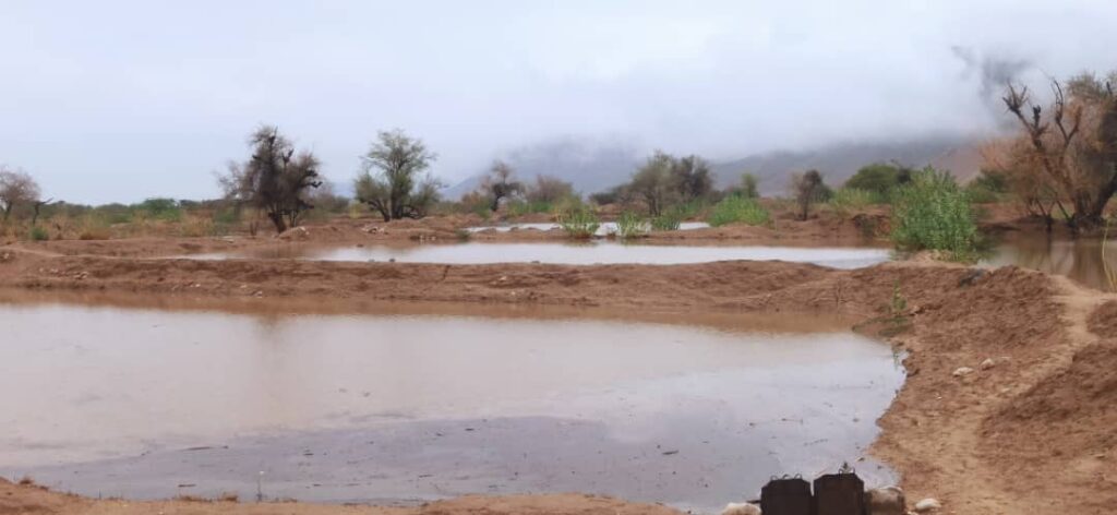 أمطار موسمية غزيرة بعد عام من الجفاف بمديرية رخية أمطار موسمية غزيرة بعد عام من الجفاف بمديرية رخية