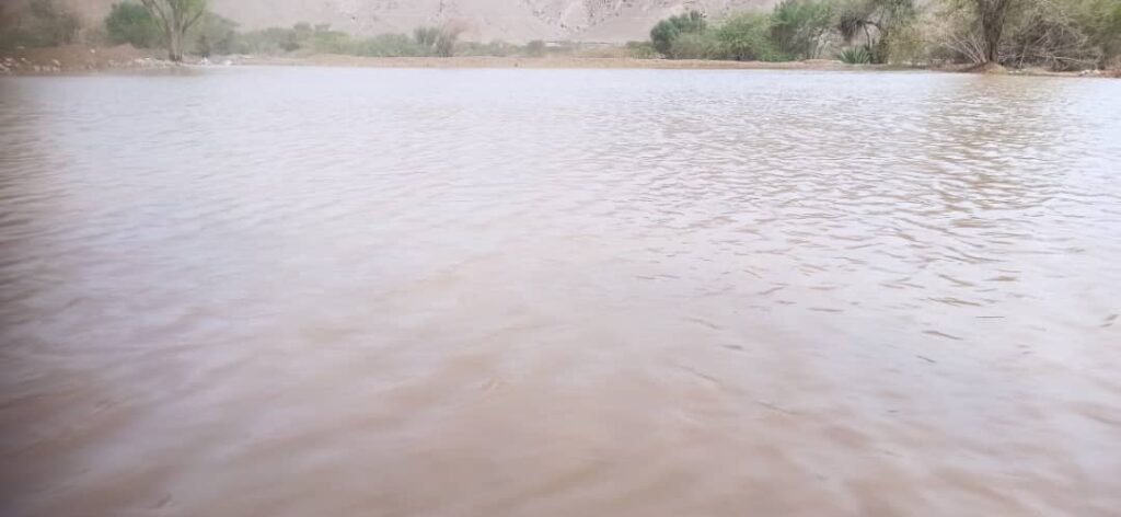 أمطار غزيرة مصحوبة بصواعق وسيول تجتاح مديرية رخية أمطار غزيرة مصحوبة بصواعق وسيول تجتاح مديرية رخية