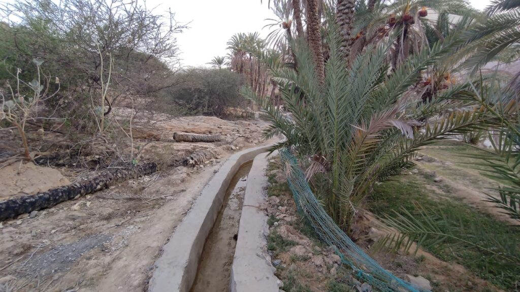 الشيخ محمد عمرو بن حبار الجمحي يشيد بإنجازات مشروع تأهيل قنوات الري بوادي عسد الجبل ويثمن دعم صندوق التنمية بحضرموت الشيخ محمد عمرو بن حبار الجمحي يشيد بإنجازات مشروع تأهيل قنوات الري بوادي عسد الجبل ويثمن دعم صندوق التنمية بحضرموت