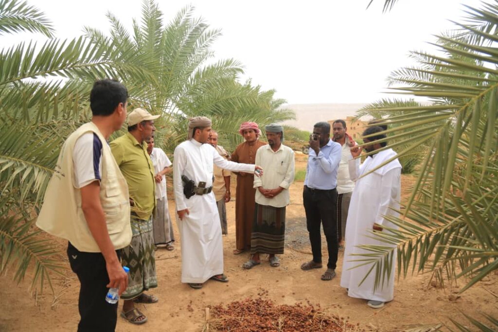 ضمن الأنشطة المصاحبة لفعاليات مهرجان النخيل والتمور بوادي وصحراء حضرموت… مدير عام مكتب الزراعة والري يزور مديرية شبام "شاهد الصور" ضمن الأنشطة المصاحبة لفعاليات مهرجان النخيل والتمور بوادي وصحراء حضرموت… مدير عام مكتب الزراعة والري يزور مديرية شبام "شاهد الصور"