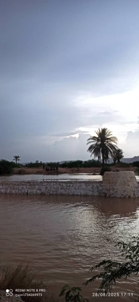 صور لمناظر مبهجة وجميلة من مدينة شبام التاريخية بعد أمطار الخير والسيول صور لمناظر مبهجة وجميلة من مدينة شبام التاريخية بعد أمطار الخير والسيول