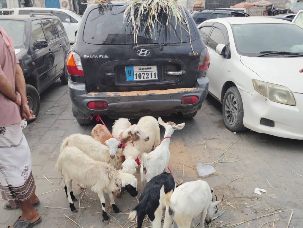 "سوق عصرية الخميس" تعود إلى قلب المكلا أمام فندق المسيلة.. والتاريخ يعيد نفسه "سوق عصرية الخميس" تعود إلى قلب المكلا أمام فندق المسيلة.. والتاريخ يعيد نفسه