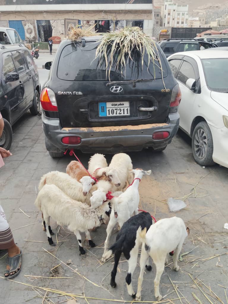 "سوق عصرية الخميس" تعود إلى قلب المكلا أمام فندق المسيلة.. والتاريخ يعيد نفسه "سوق عصرية الخميس" تعود إلى قلب المكلا أمام فندق المسيلة.. والتاريخ يعيد نفسه