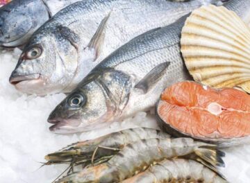 النشرة اليومية لاسعار الاسماك الطازجة والمجمدة اليوم الاثنين 27 اكتوبر 2025 في ساحل حضرموت النشرة اليومية لاسعار الاسماك الطازجة والمجمدة اليوم الاثنين 27 اكتوبر 2025 في ساحل حضرموت