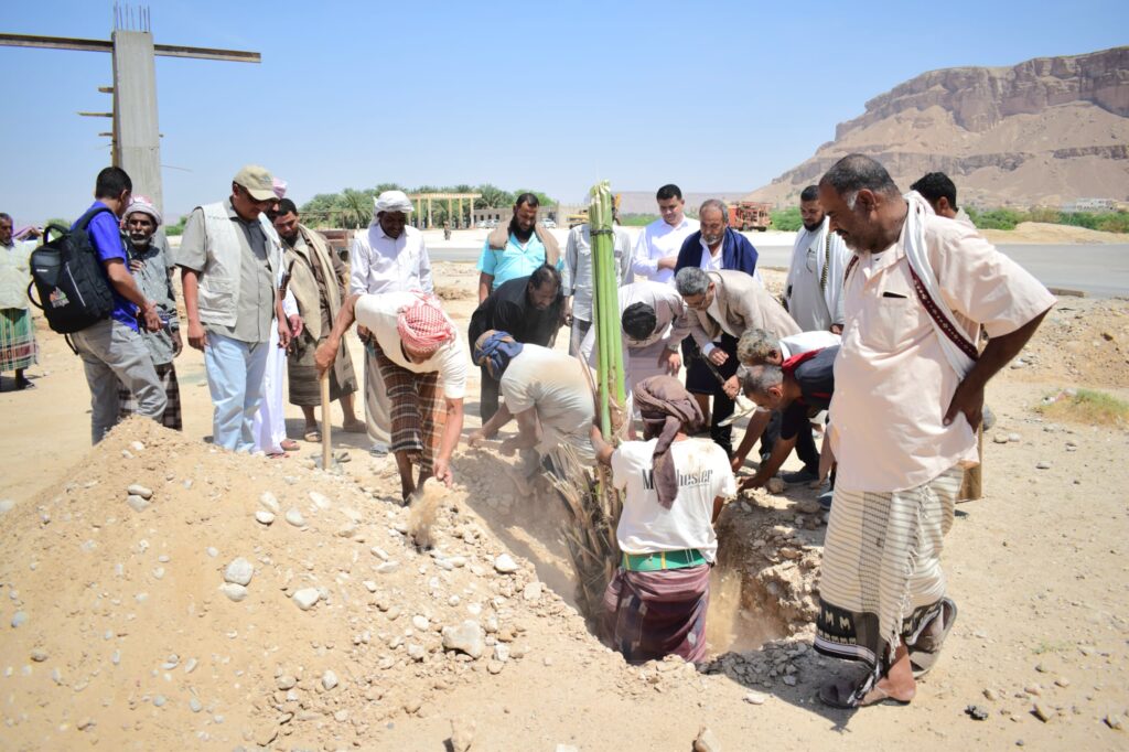 مواصلةً لمبادرة "في بيئتنا نخلة"..مكتب الزراعة بوادي حضرموت يدشّن زراعة النخيل ويزور مصنع البركة بمديرية وادي العين وحورة "شاهد الصور" مواصلةً لمبادرة "في بيئتنا نخلة"..مكتب الزراعة بوادي حضرموت يدشّن زراعة النخيل ويزور مصنع البركة بمديرية وادي العين وحورة "شاهد الصور"