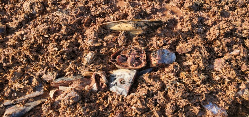 الشحر: إيقاف مالك عازلة أسماك لارتكابه مخالفة بيئية برمي مخلفات الأسماك الشحر: إيقاف مالك عازلة أسماك لارتكابه مخالفة بيئية برمي مخلفات الأسماك