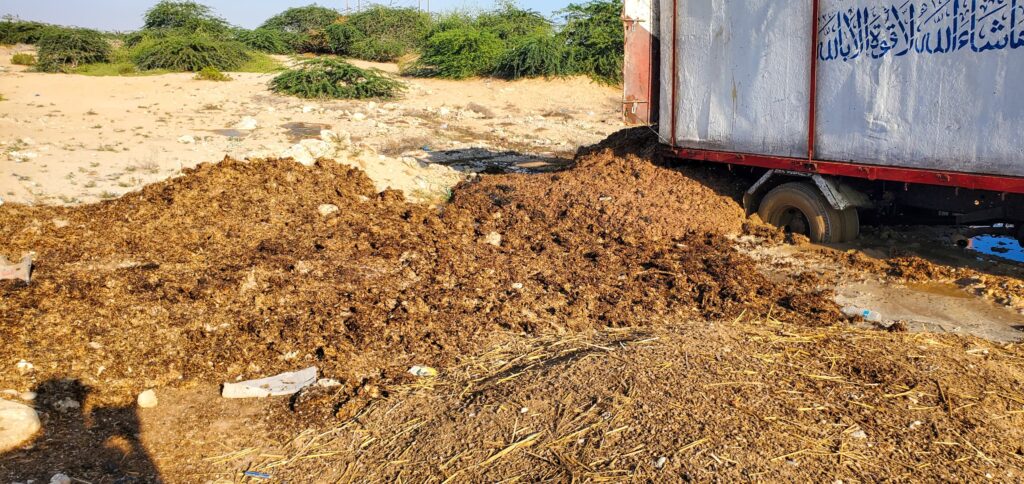 الشحر: إيقاف مالك عازلة أسماك لارتكابه مخالفة بيئية برمي مخلفات الأسماك الشحر: إيقاف مالك عازلة أسماك لارتكابه مخالفة بيئية برمي مخلفات الأسماك