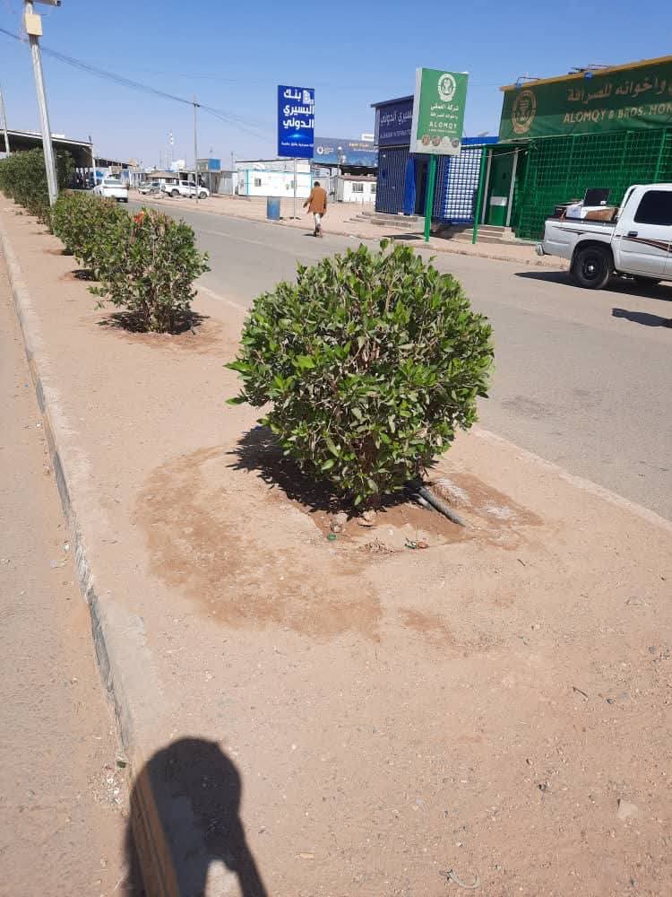 شركة زاجل للمنظفات وخدمات التنظيف تنفذ حملة نظافة واسعة ضمن خطتها المتواصلة بميناء الوديعة شركة زاجل للمنظفات وخدمات التنظيف تنفذ حملة نظافة واسعة ضمن خطتها المتواصلة بميناء الوديعة