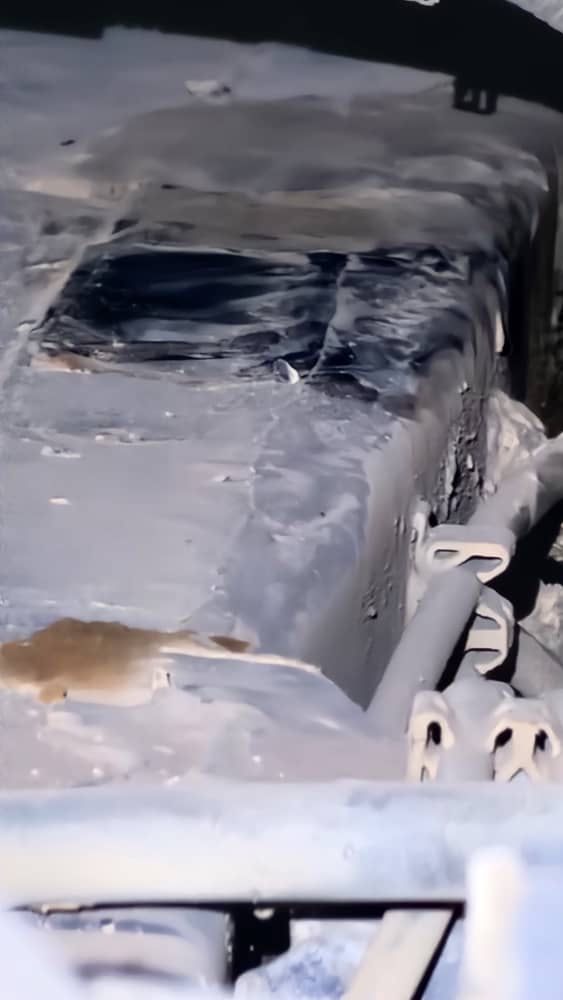 كتيبة حماية وأمن منفذ الوديعة تُحبط تهريب 24 كيلوغراماً من الحشيش المخدر كانت في طريقها إلى السعودية "شاهد الصور" كتيبة حماية وأمن منفذ الوديعة تُحبط تهريب 24 كيلوغراماً من الحشيش المخدر كانت في طريقها إلى السعودية "شاهد الصور"