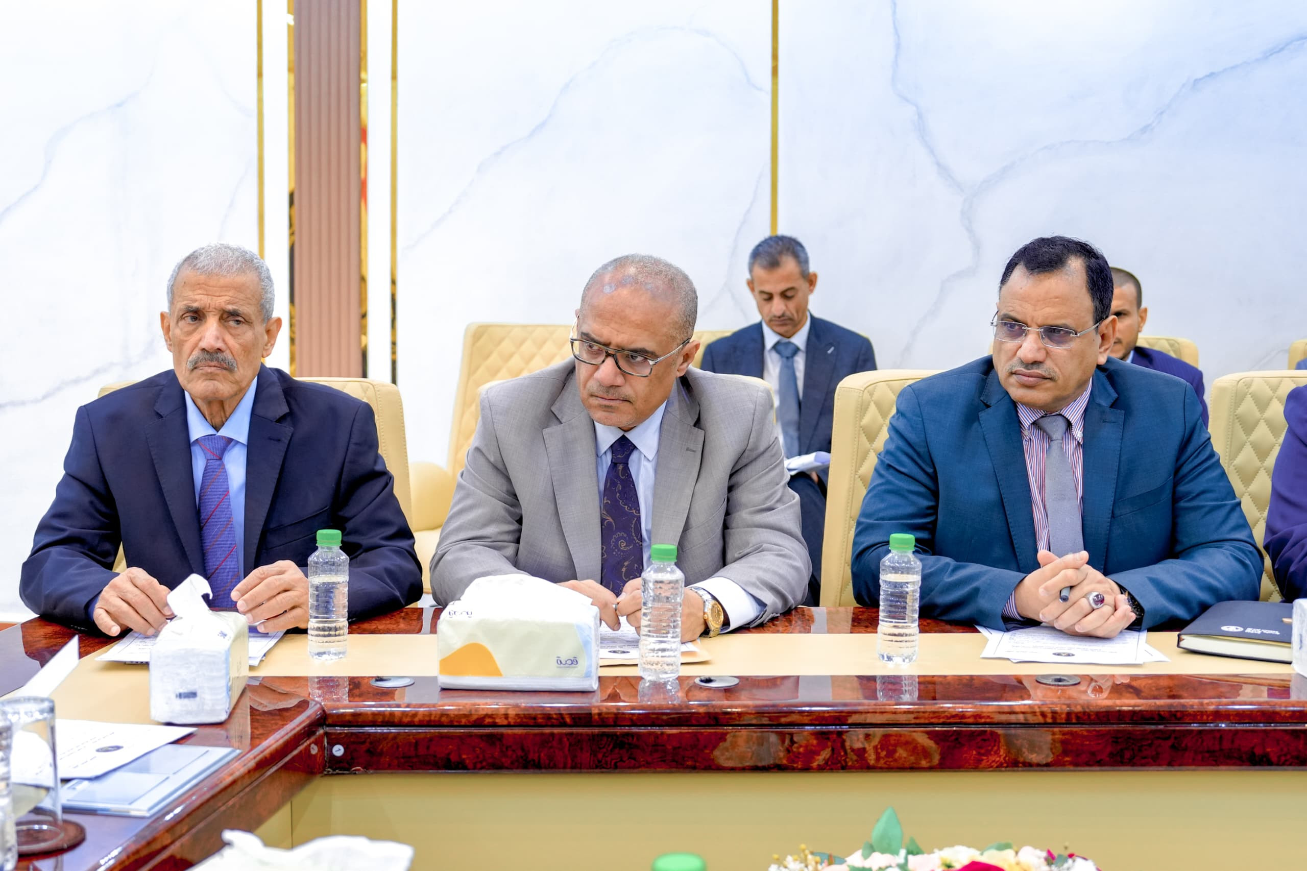القيادة التنفيذية العليا تشيد بجهود تطبيع الأوضاع بوادي حضرموت والمهرة القيادة التنفيذية العليا تشيد بجهود تطبيع الأوضاع بوادي حضرموت والمهرة