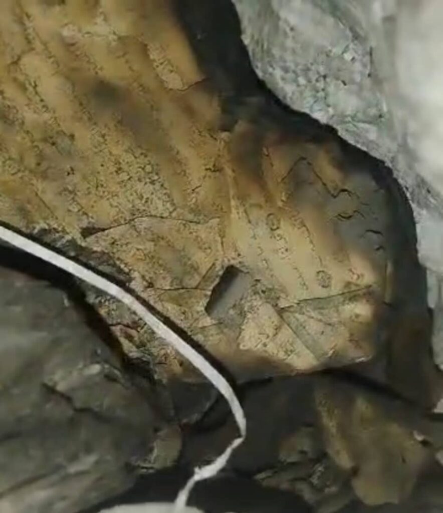 جريمة صادمة تهز تعز.. أيادٍ آثمة ترمي كتاب الله في "المجاري" واتهامات لسلطة الحوثيين بالتواطؤ جريمة صادمة تهز تعز.. أيادٍ آثمة ترمي كتاب الله في "المجاري" واتهامات لسلطة الحوثيين بالتواطؤ