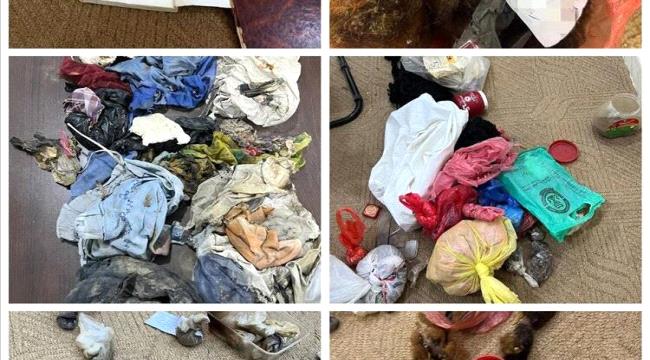 تفكيك أخطر شبكة سحر وشعوذة في شبوة تفكيك أخطر شبكة سحر وشعوذة في شبوة