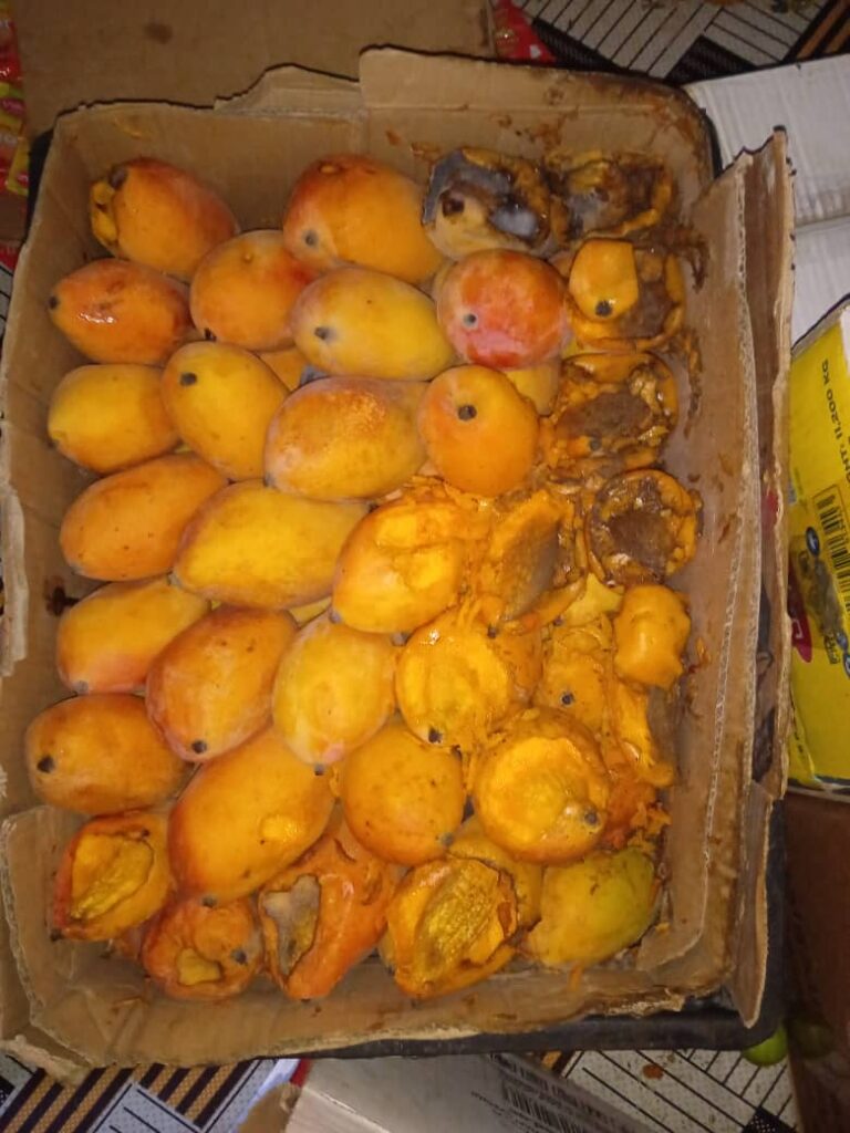 شاهد بالصور .. مكتب أشغال الشحر ينفذ حملة تفتيش واسعة على المطاعم والبوفيهات والمنشآت الغذائية لتعزيز الرقابة الصحية شاهد بالصور .. مكتب أشغال الشحر ينفذ حملة تفتيش واسعة على المطاعم والبوفيهات والمنشآت الغذائية لتعزيز الرقابة الصحية