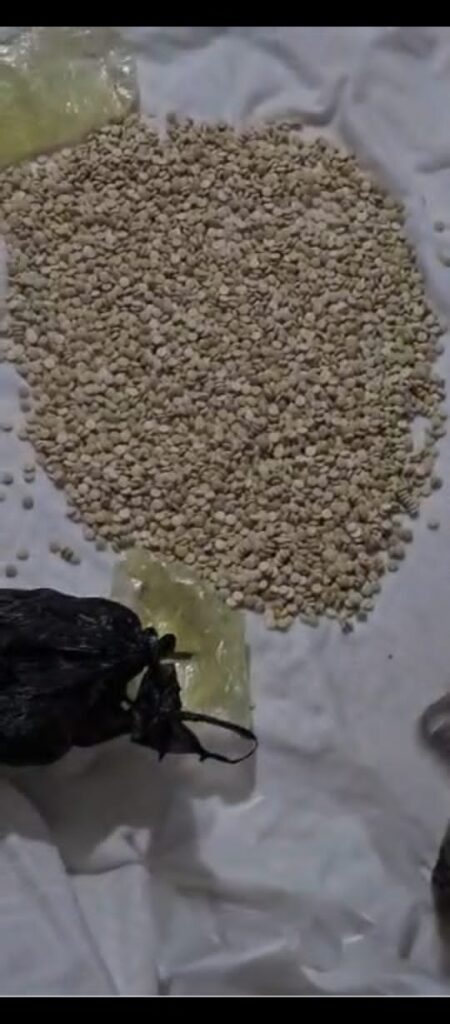 شاهد بالصور .. كتيبة أمن منفذ الوديعة تُحبط تهريب آلاف الحبوب المخدرة المتجهة للسعودية شاهد بالصور .. كتيبة أمن منفذ الوديعة تُحبط تهريب آلاف الحبوب المخدرة المتجهة للسعودية