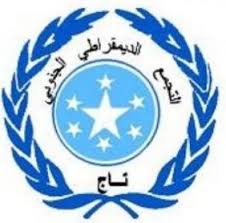 بيان صادر عن التجمع الديمقراطي الجنوبي (تاج) - بيان صادر عن التجمع الديمقراطي الجنوبي (تاج) -