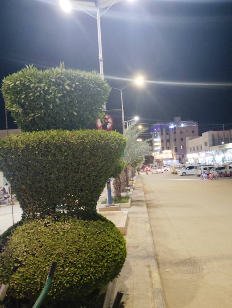 ليالي رمضان في سيئون… نكهة روحانية وسحر لا يُضاهى في جوهرة الوادي والصحراء ليالي رمضان في سيئون… نكهة روحانية وسحر لا يُضاهى في جوهرة الوادي والصحراء