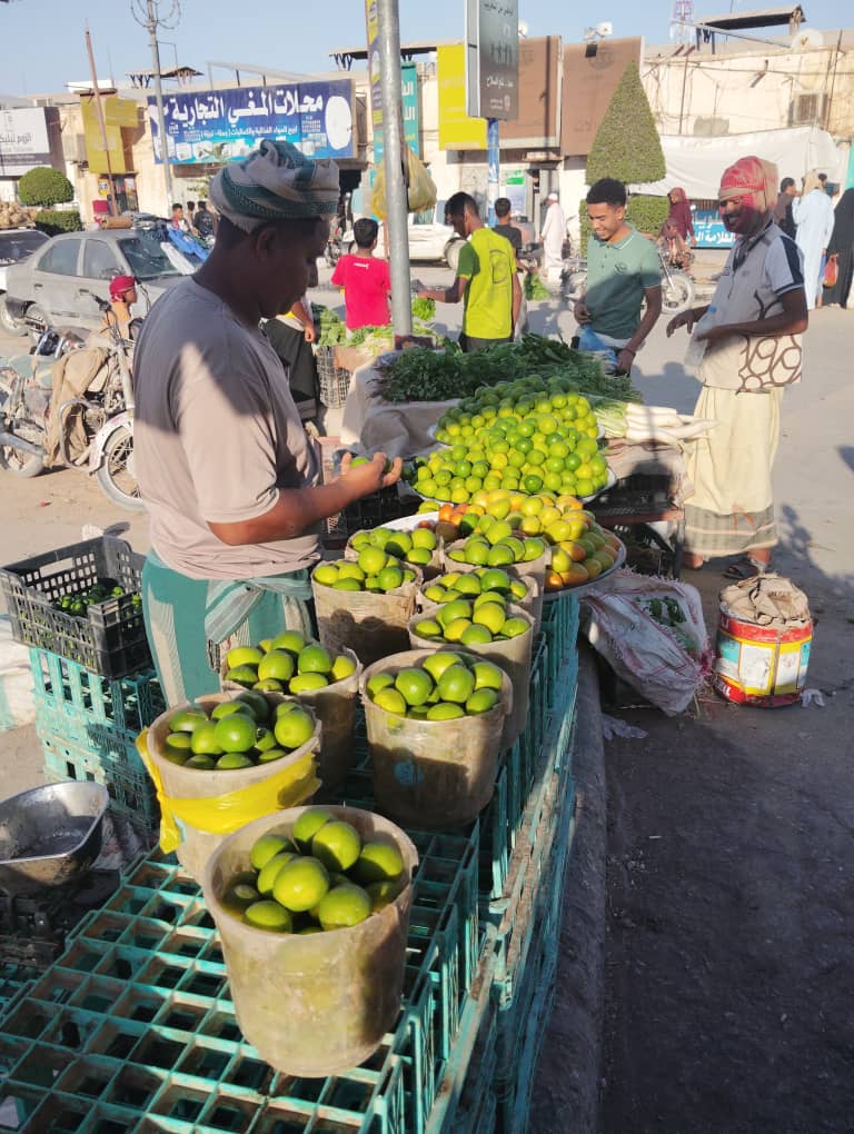 سيئون تتألق في رمضان.. أسواق نابضة بالحياة ومساجد عامرة وروائح البخور تملأ الأجواء "صور" سيئون تتألق في رمضان.. أسواق نابضة بالحياة ومساجد عامرة وروائح البخور تملأ الأجواء "صور"