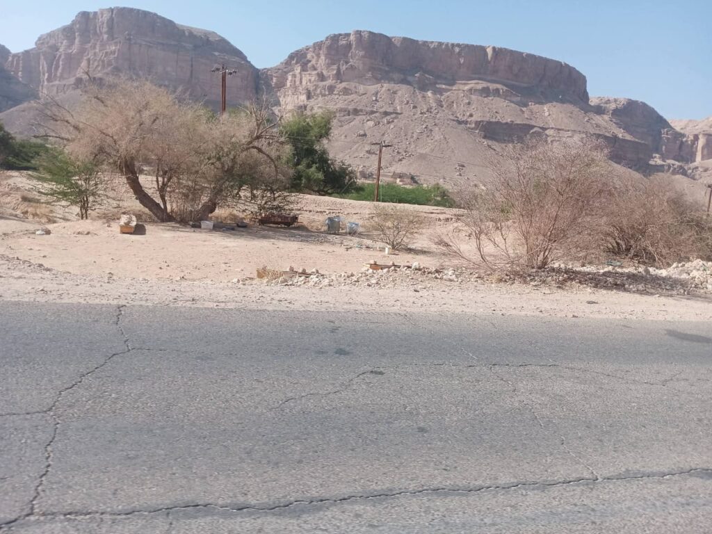 مواطن يوجه رسالة لمدير عام دوعن ومدير الأمن .. عودة وضع خلايا النحل على الخط العام مواطن يوجه رسالة لمدير عام دوعن ومدير الأمن .. عودة وضع خلايا النحل على الخط العام