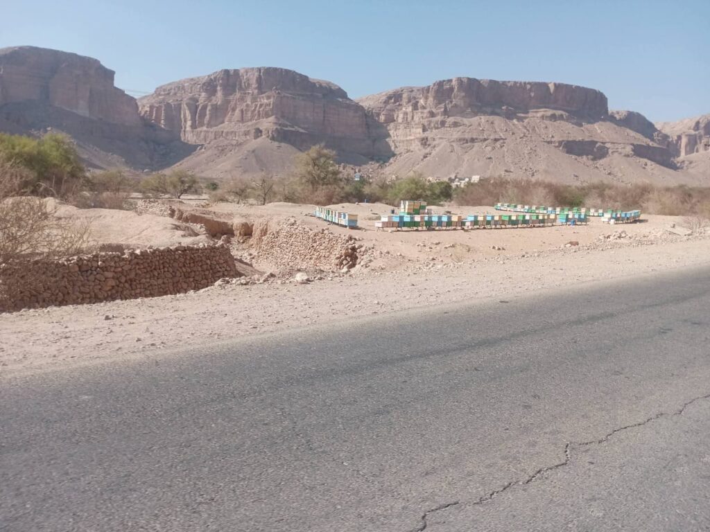 مواطن يوجه رسالة لمدير عام دوعن ومدير الأمن .. عودة وضع خلايا النحل على الخط العام مواطن يوجه رسالة لمدير عام دوعن ومدير الأمن .. عودة وضع خلايا النحل على الخط العام