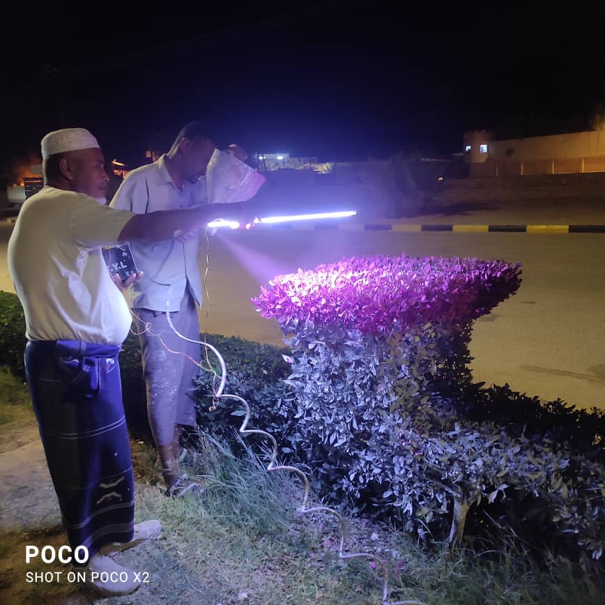 بحلول عيد الفطر.. تواصل حملات النظافة والتزيين بمديريات الوادي والصحراء بحلول عيد الفطر.. تواصل حملات النظافة والتزيين بمديريات الوادي والصحراء