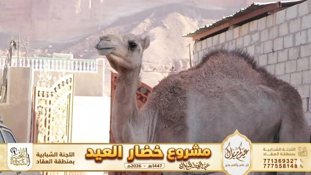 "خصار العيد".. ملحمة عطاء تُزهر فرحاً في قلوب 139 أسرة بمنطقة العقاد "خصار العيد".. ملحمة عطاء تُزهر فرحاً في قلوب 139 أسرة بمنطقة العقاد