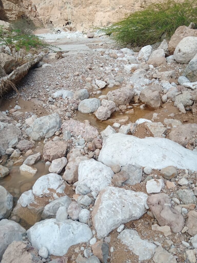 في تقرير أولي لمؤتمر حضرموت الجامع ..تفاقم معاناة أهالي أرياف المكلا : السيول تدمر البنية التحتية للطرقات وتعرقل وصول الحالات المرضية في تقرير أولي لمؤتمر حضرموت الجامع ..تفاقم معاناة أهالي أرياف المكلا : السيول تدمر البنية التحتية للطرقات وتعرقل وصول الحالات المرضية