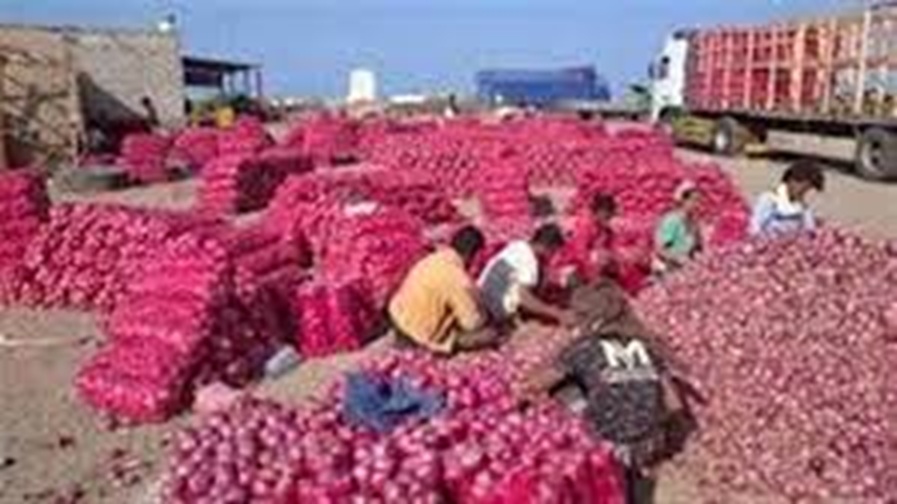 أكثر من 91 مليار ريال يمني قيمة صادرات حضرموت الوادي والصحراء حول العالم أكثر من 91 مليار ريال يمني قيمة صادرات حضرموت الوادي والصحراء حول العالم