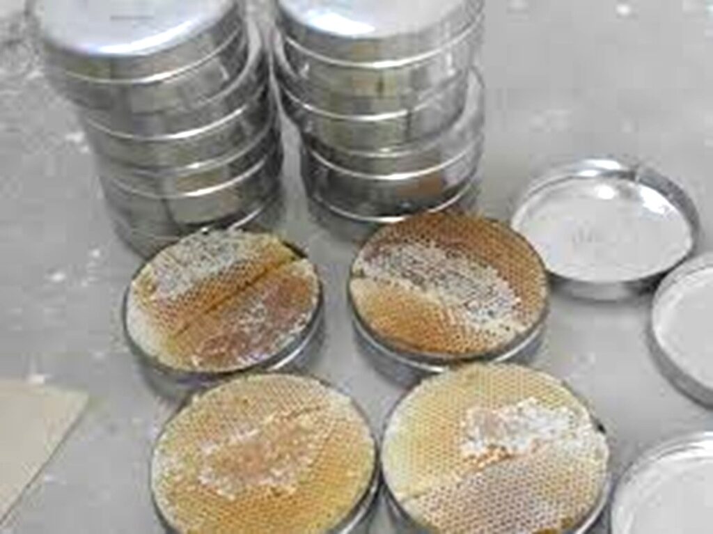 أكثر من 91 مليار ريال يمني قيمة صادرات حضرموت الوادي والصحراء حول العالم أكثر من 91 مليار ريال يمني قيمة صادرات حضرموت الوادي والصحراء حول العالم