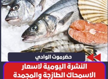 النشرة اليومية لاسعار الاسماك الطازجة والمجمدة والدجاج اليوم الثلاثاء 8 ابريل 2026 في وادي حضرموت النشرة اليومية لاسعار الاسماك الطازجة والمجمدة والدجاج اليوم الثلاثاء 8 ابريل 2026 في وادي حضرموت