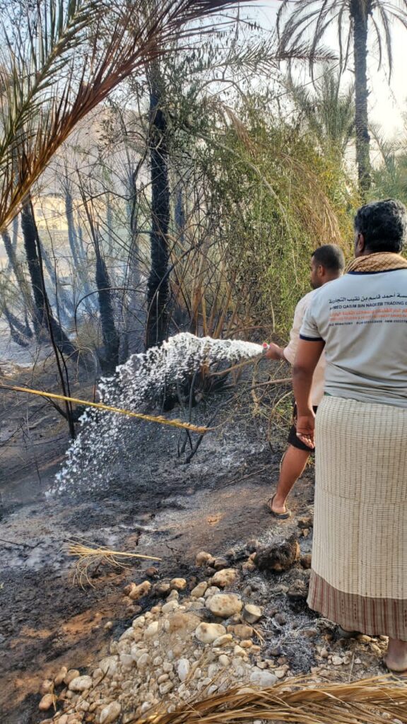بجهود مدير شرطة حريضه … الدفاع المدني يعود للخدمة منذ انقطاع دام سنوات بإخماد حريقاً في 25 نخلة دون خسائر بشرية"صور" بجهود مدير شرطة حريضه … الدفاع المدني يعود للخدمة منذ انقطاع دام سنوات بإخماد حريقاً في 25 نخلة دون خسائر بشرية"صور"