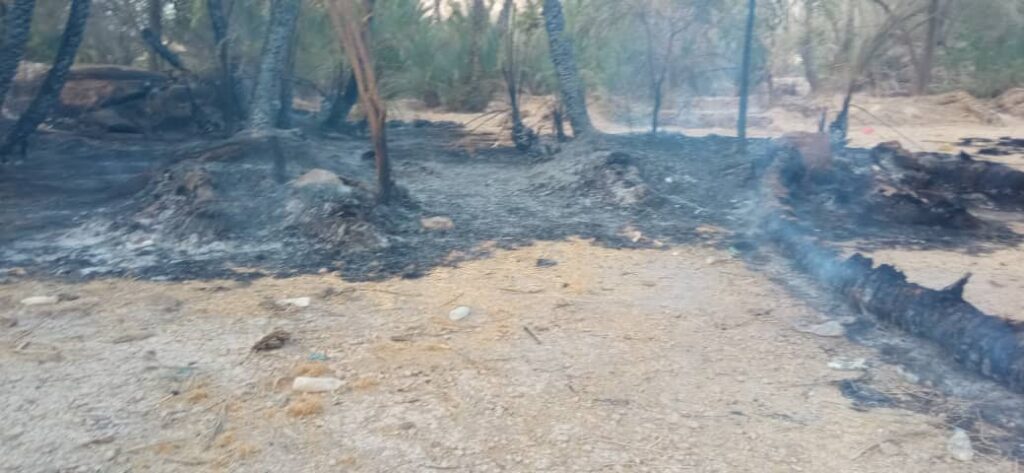 بجهود مدير شرطة حريضه … الدفاع المدني يعود للخدمة منذ انقطاع دام سنوات بإخماد حريقاً في 25 نخلة دون خسائر بشرية"صور" بجهود مدير شرطة حريضه … الدفاع المدني يعود للخدمة منذ انقطاع دام سنوات بإخماد حريقاً في 25 نخلة دون خسائر بشرية"صور"
