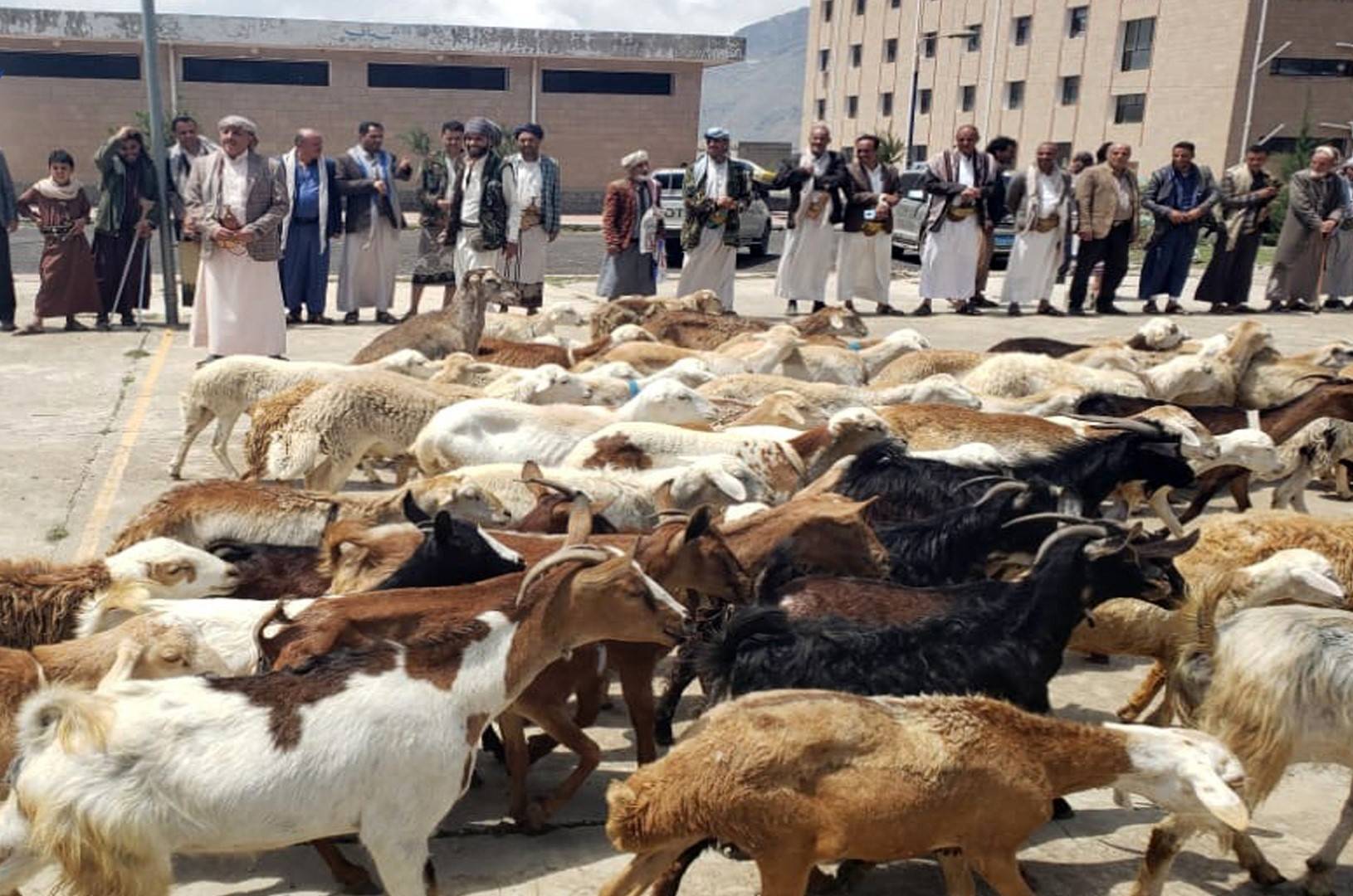 جبايات الحوثيين العيدية تُرهق سكان صنعاء وريفها - جبايات الحوثيين العيدية تُرهق سكان صنعاء وريفها -