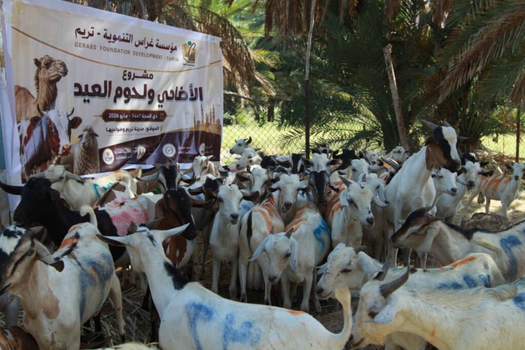 مؤسسة غراس تختتم مشروع الأضاحي بتكلفة تجاوزت 60 مليون ريال يمني استفادت منه أكثر من 2500 أسرة بوادي حضرموت مؤسسة غراس تختتم مشروع الأضاحي بتكلفة تجاوزت 60 مليون ريال يمني استفادت منه أكثر من 2500 أسرة بوادي حضرموت