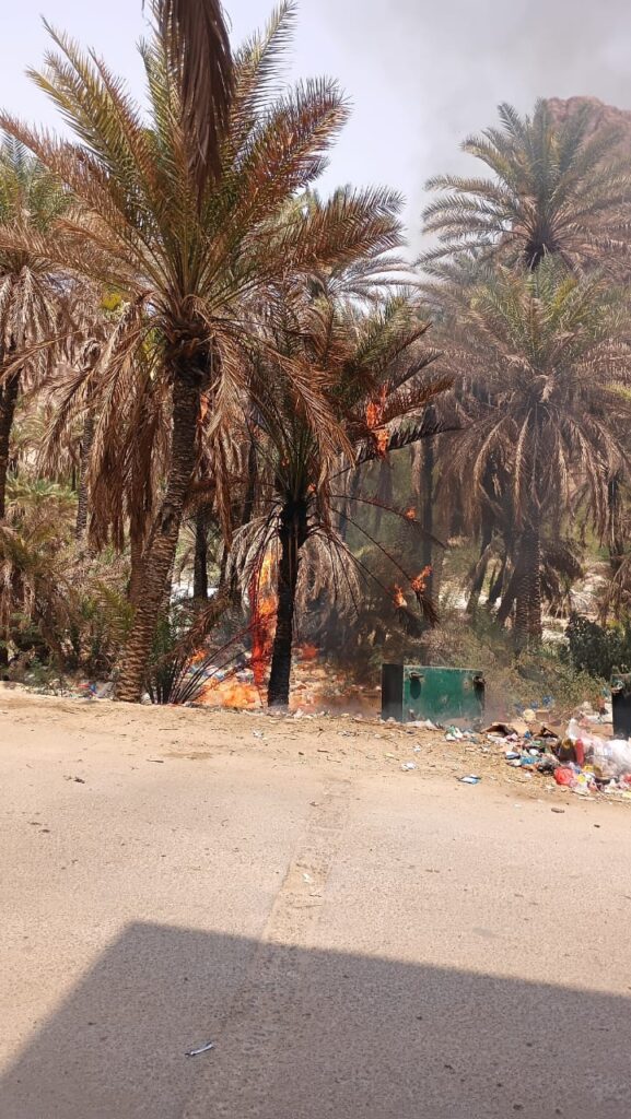عاجل | حريق يشتعل في نخيل الخريبة بعد إشعال النفايات وسط اتهامات بتجاهل ملف النظافة "صور" عاجل | حريق يشتعل في نخيل الخريبة بعد إشعال النفايات وسط اتهامات بتجاهل ملف النظافة "صور"