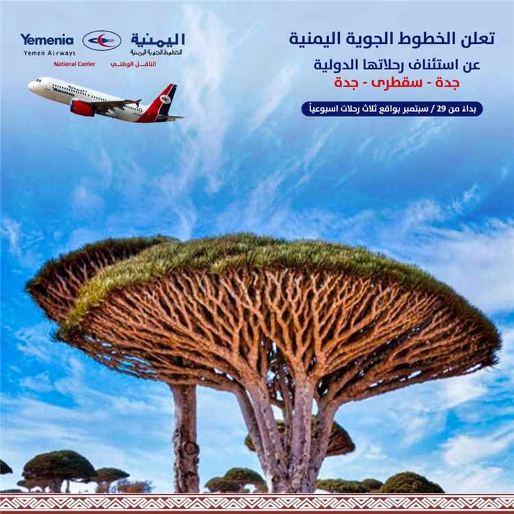 اليمنية تعلن استئناف رحلات جدة – سقطرى – جدة بواقع ثلاث رحلات أسبوعيًا - اليمنية تعلن استئناف رحلات جدة – سقطرى – جدة بواقع ثلاث رحلات أسبوعيًا -