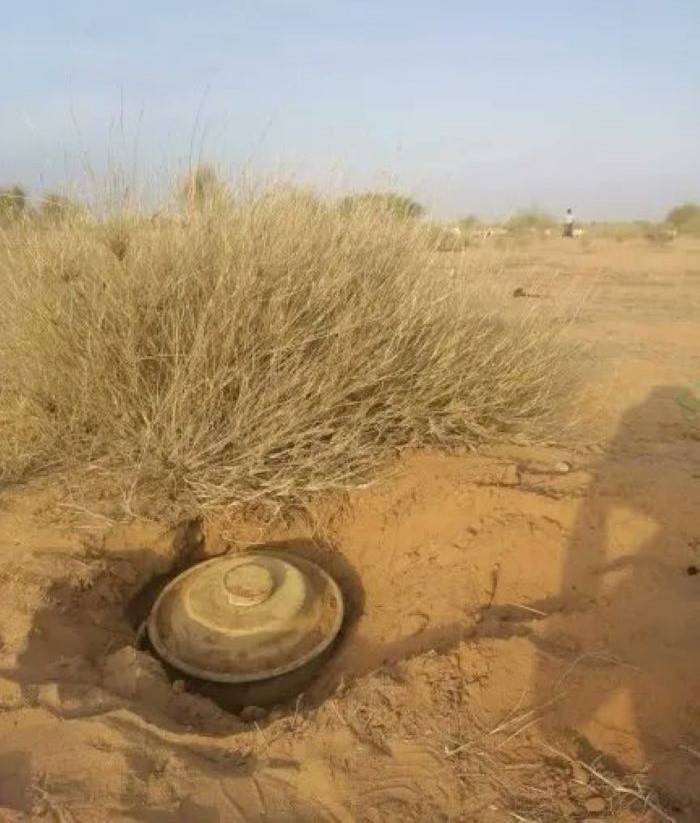 ألغام الحوثيين تحصد الثروة الحيوانية وتهدد الريف اليمني ألغام الحوثيين تحصد الثروة الحيوانية وتهدد الريف اليمني