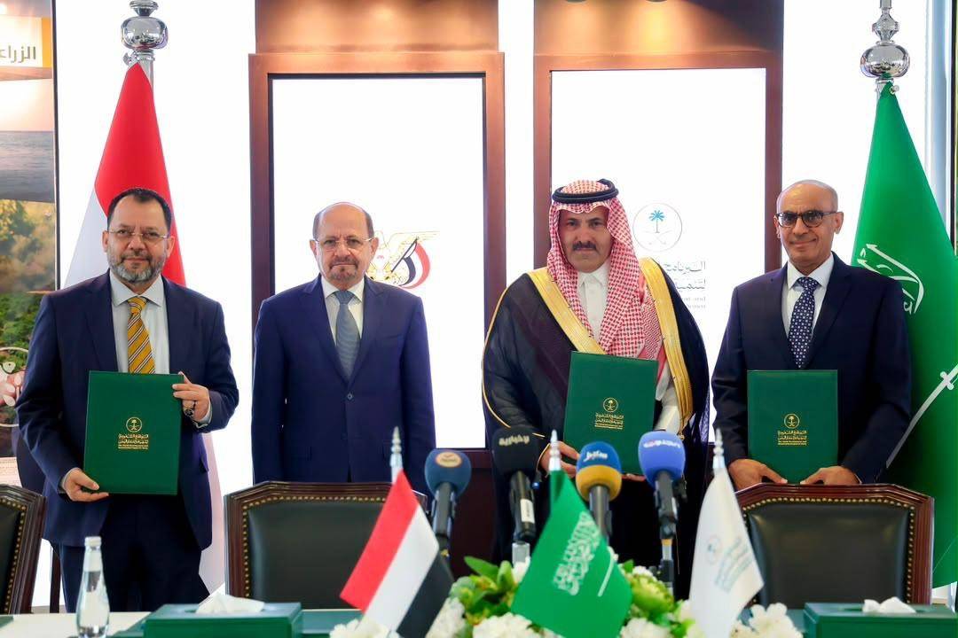 الزنداني: اليمن لن يبقى ساحة مفتوحة لمشروع عابر للحدود - الزنداني: اليمن لن يبقى ساحة مفتوحة لمشروع عابر للحدود -