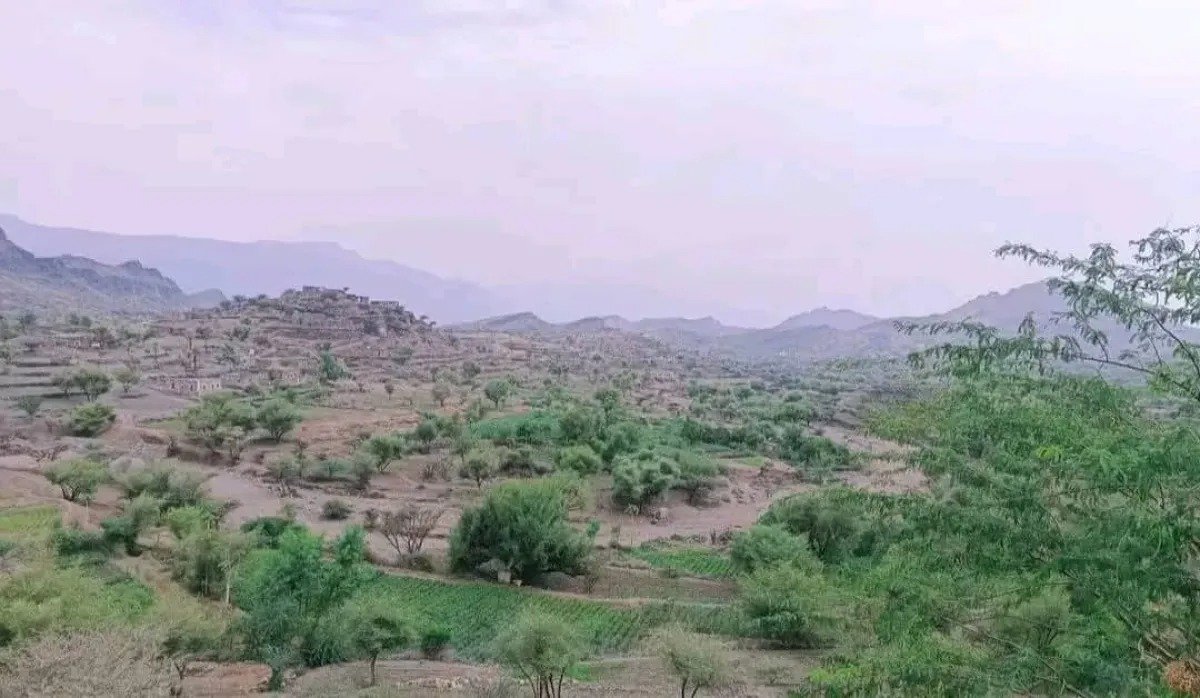 إصـ,ـابة ثلاثة أطفال وامرأة برصـ,ـاص قناصة الحـ,ـوثيين غربي تعز - إصـ,ـابة ثلاثة أطفال وامرأة برصـ,ـاص قناصة الحـ,ـوثيين غربي تعز -