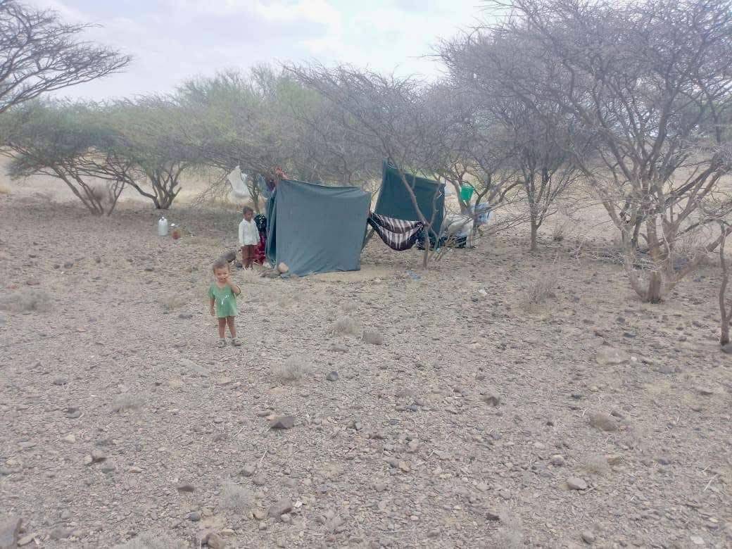 آلاف النازحين من تصعيد الحوثيين يواجهون التشرد والجوع آلاف النازحين من تصعيد الحوثيين يواجهون التشرد والجوع