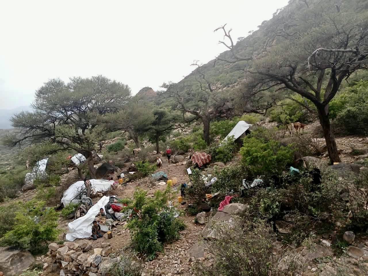 هجمات الحوثيين شردت 71 ألف طفل خلال شهر واحد - هجمات الحوثيين شردت 71 ألف طفل خلال شهر واحد -