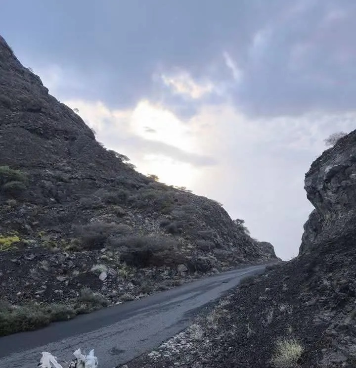 القوات الجنوبية تستعيد جبل المنصورة بالكامل في جبهة الصبيحة القوات الجنوبية تستعيد جبل المنصورة بالكامل في جبهة الصبيحة